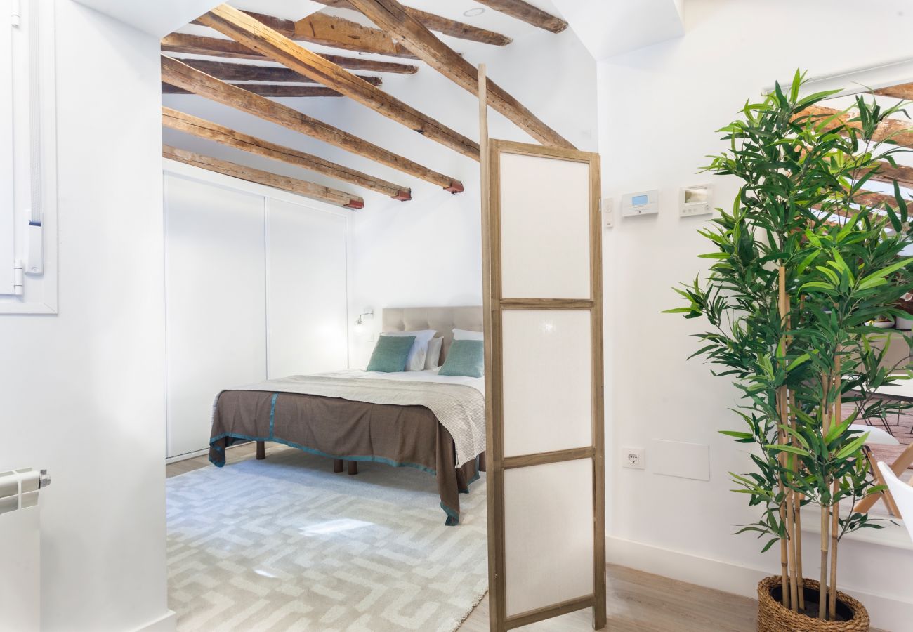 Apartamento en Madrid - Apartamento Canalejas IV en Madrid