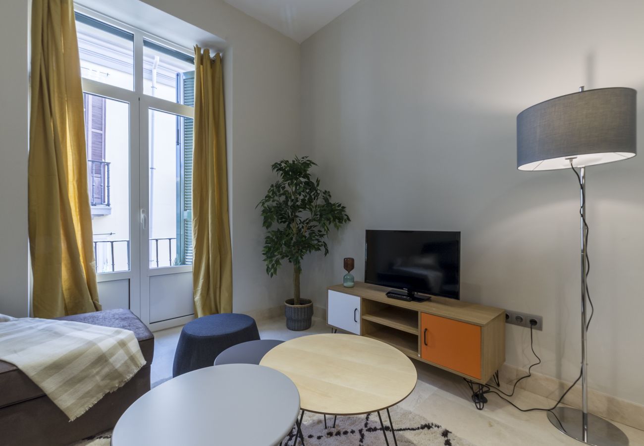 Apartamento en Madrid - Apartamento Echegaray II en Madrid 