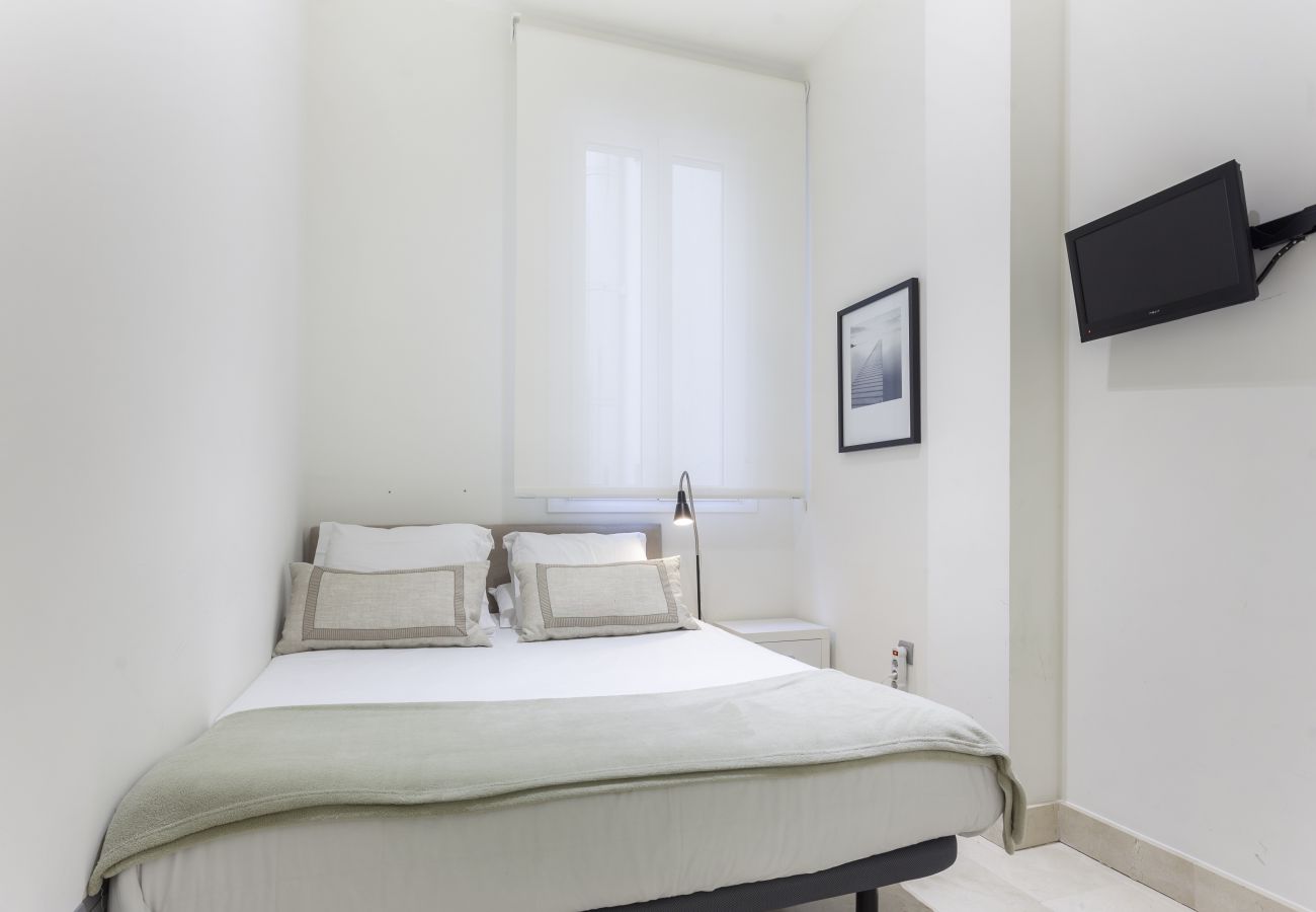 Apartamento en Madrid - Apartamento Echegaray III en Madrid 