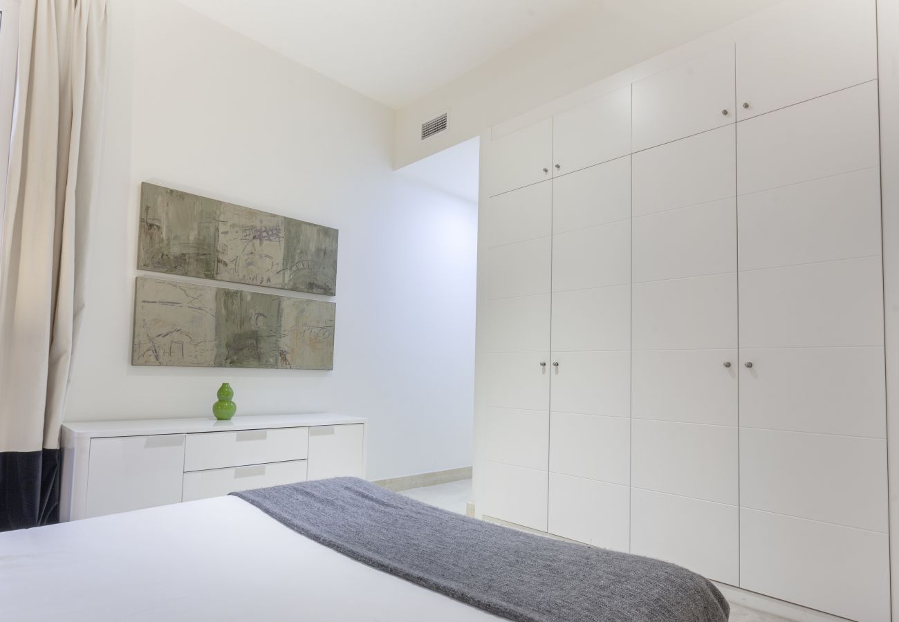 Apartamento en Madrid - Apartamento Echegaray III en Madrid 