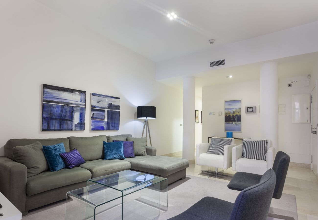 Apartamento en Madrid - Apartamento Echegaray III en Madrid 