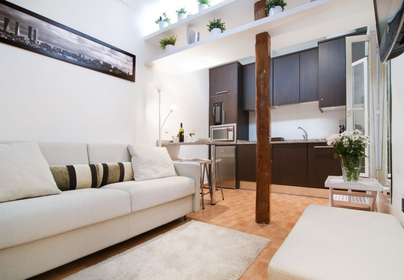 Apartamento en Madrid - Apartamento Genova en Madrid 