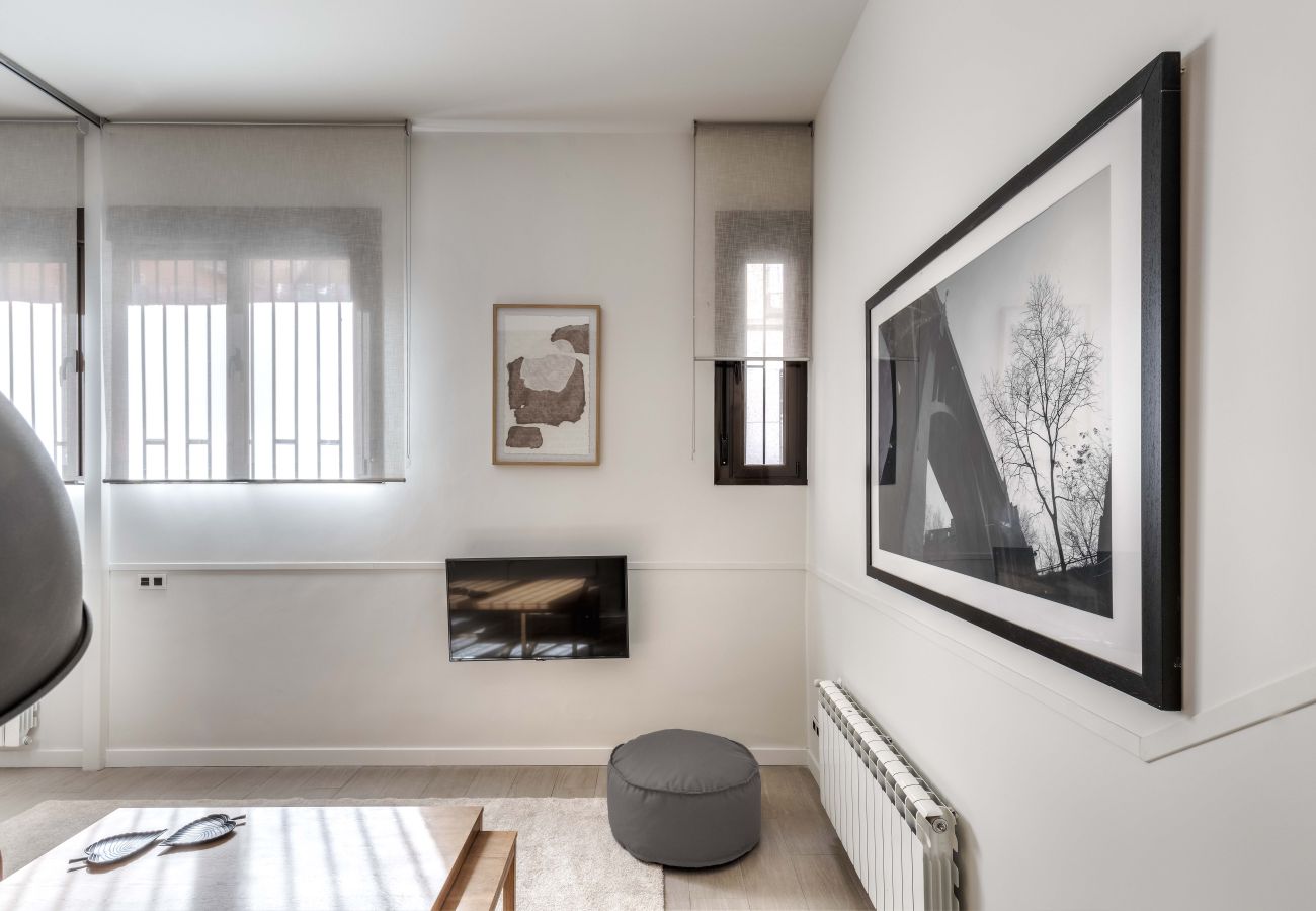 Apartamento en Madrid - Apartamento Apolo Loft en Madrid 