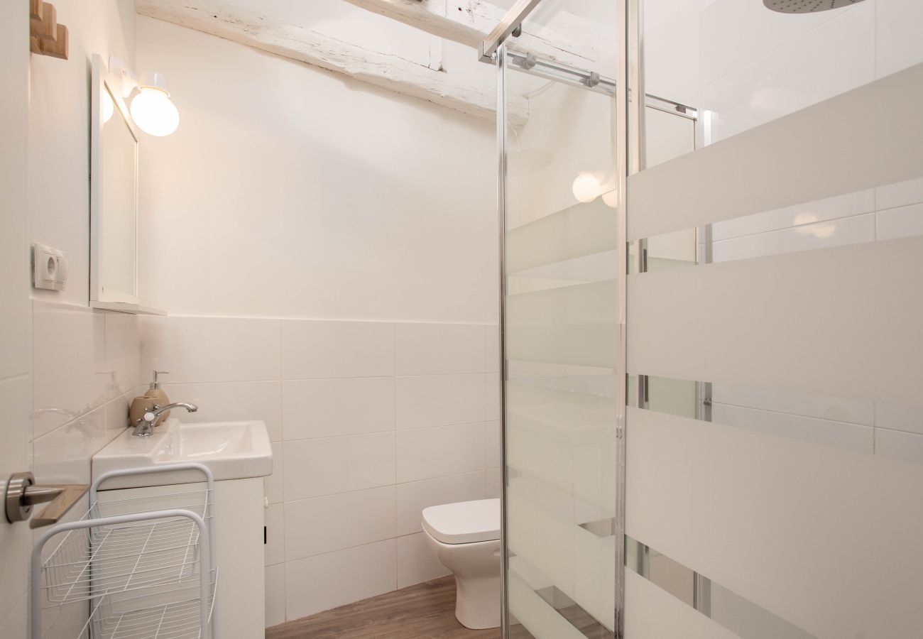 Apartamento en Madrid - Apartamento Plaza Mayor Attic en Madrid 