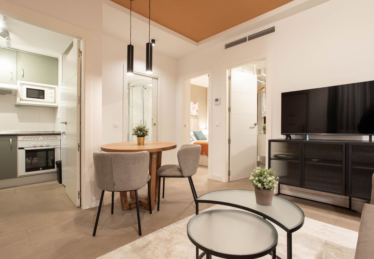 Apartamento en Madrid - Apartamento Salamanca V en Madrid 