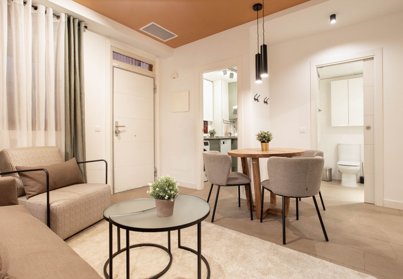 Apartamento en Madrid - Apartamento Salamanca V en Madrid 