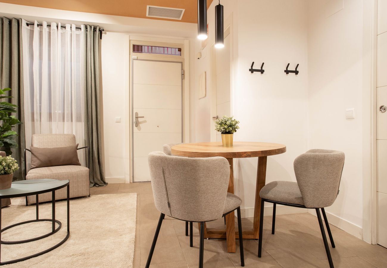 Apartamento en Madrid - Apartamento Salamanca V en Madrid 