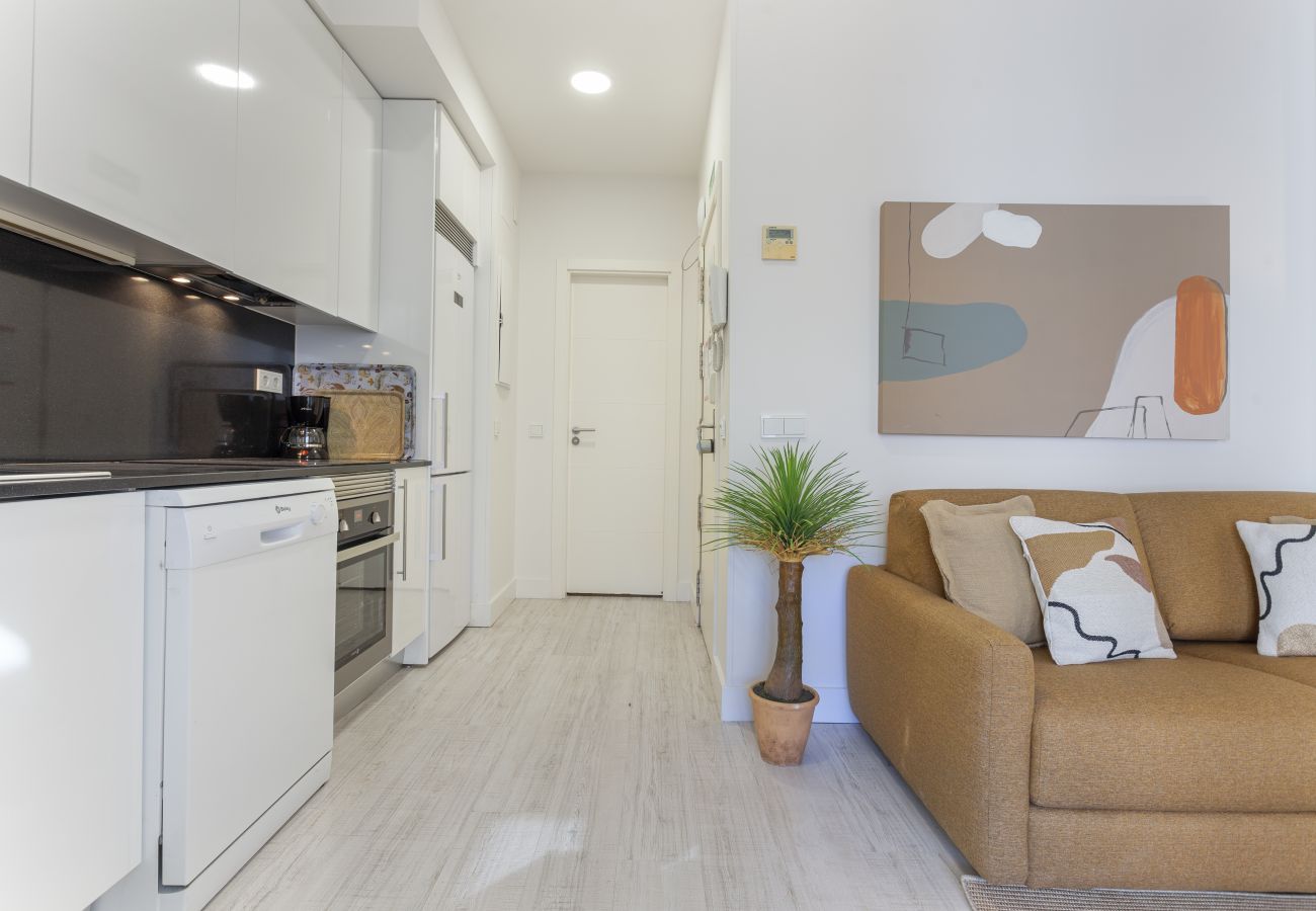 Apartamento en Madrid - Apartamento Olavide Terrace II en Madrid