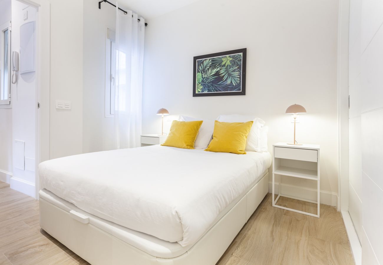 Apartamento en Madrid - Apartamento Universidad III en Madrid