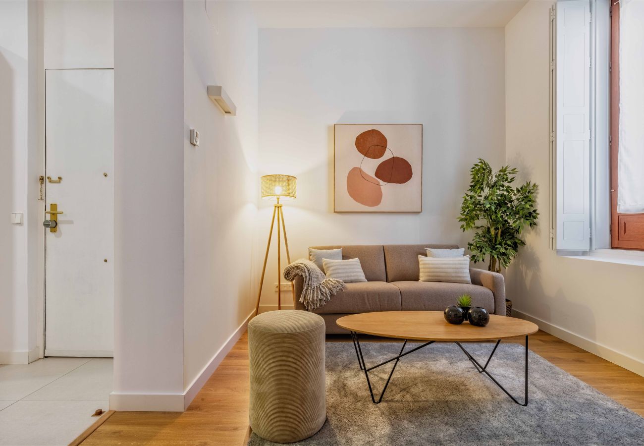 Apartamento en Madrid - Apartamento Bellas Artes I en Madrid 