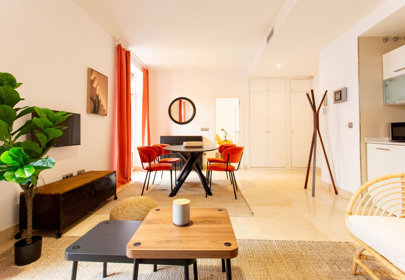 Apartamento en Madrid - Apartamento Echegaray IX en Madrid