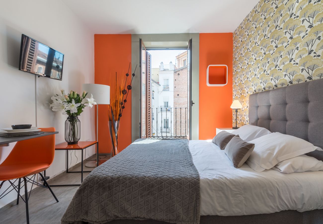 Studio in Madrid -  Santa Ana Boutique I apartment  in Madrid