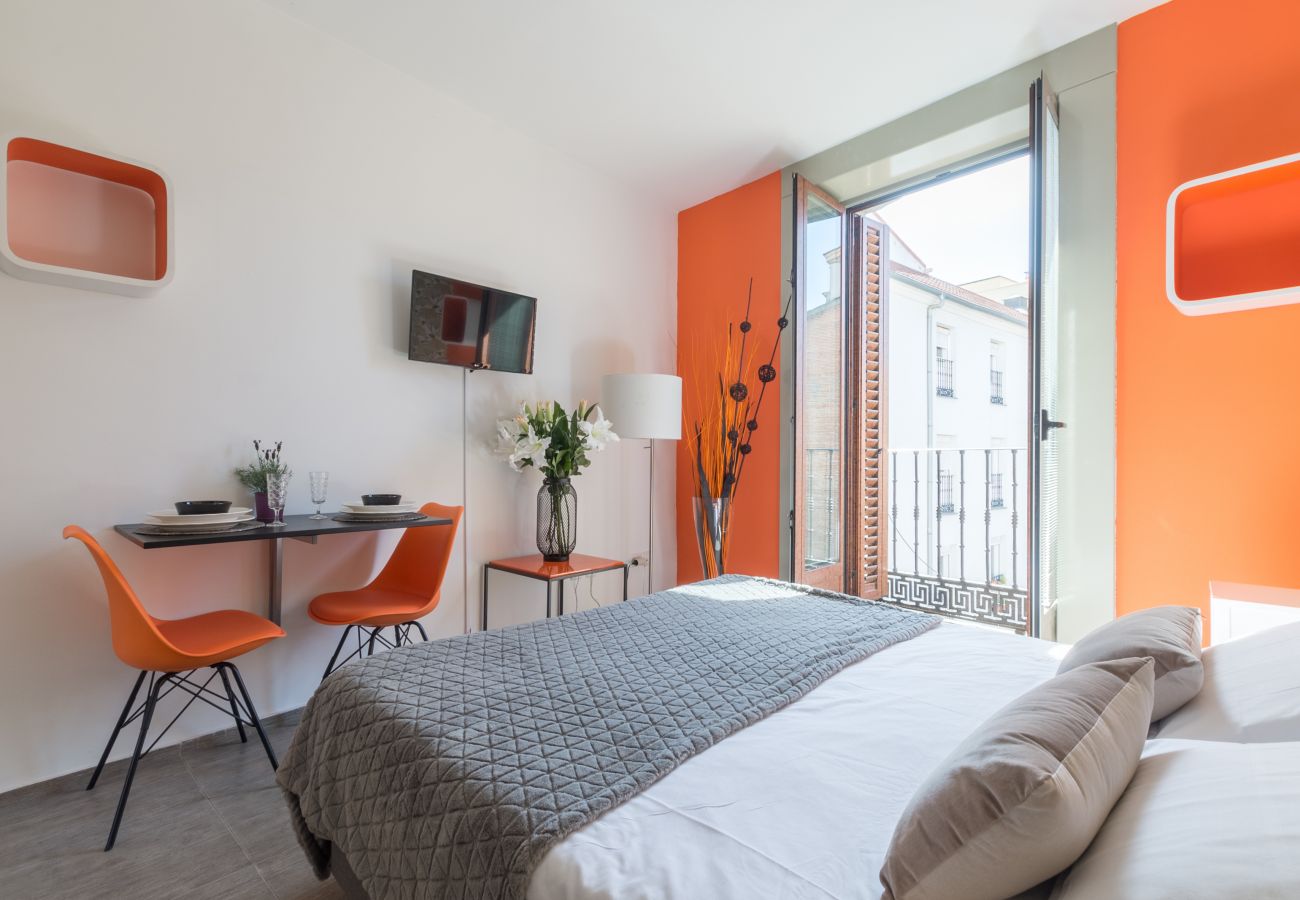 Studio in Madrid -  Santa Ana Boutique I apartment  in Madrid