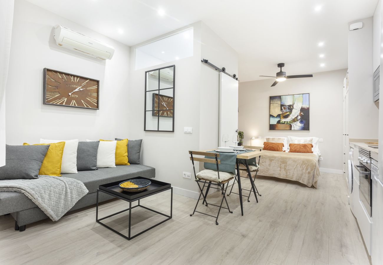 Studio in Madrid -  Bernabeu Comfort apartment in Madrid