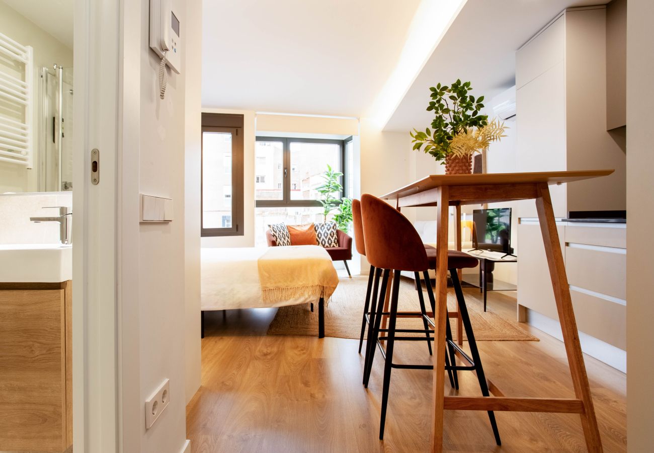 Studio in Madrid -  Rubik III apartment in  Madrid